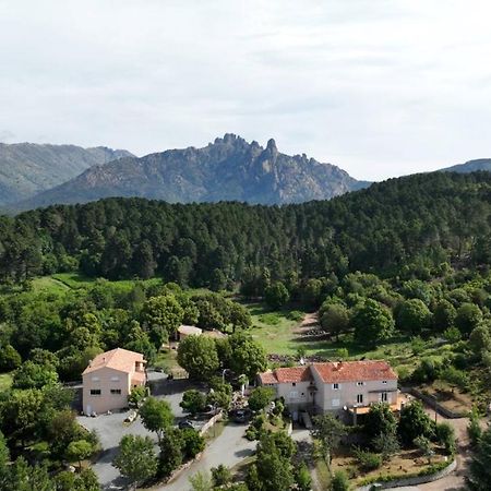 Les Hauts De Cavanello 宗扎 外观 照片